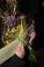 Guus 028